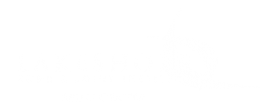 Spine Center